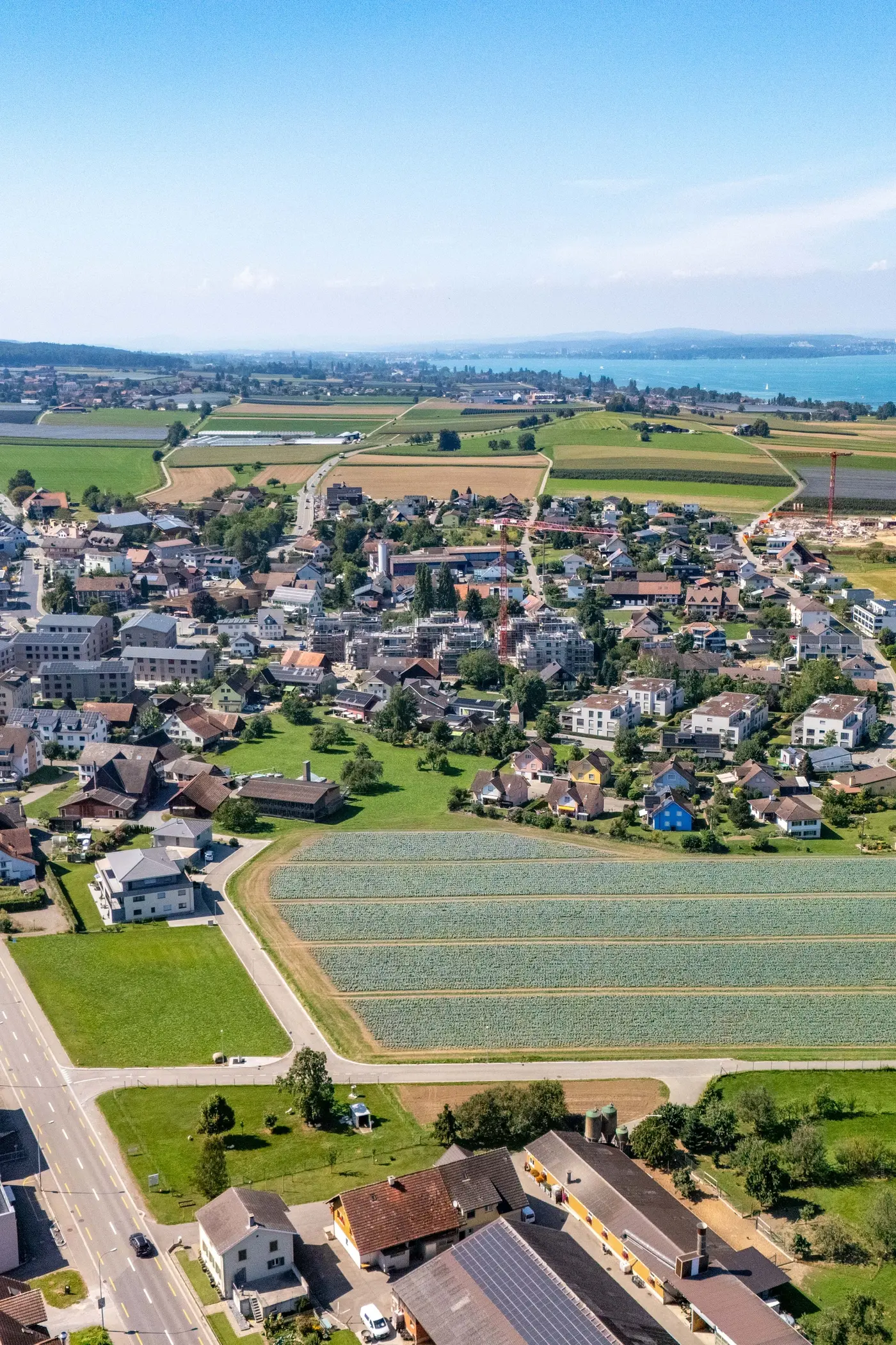 d08f6245-698d-4b4d-b92b-23e030c0d4fc_original.jpg?c=07d89cf3a4894090b75ea96871ab23ea