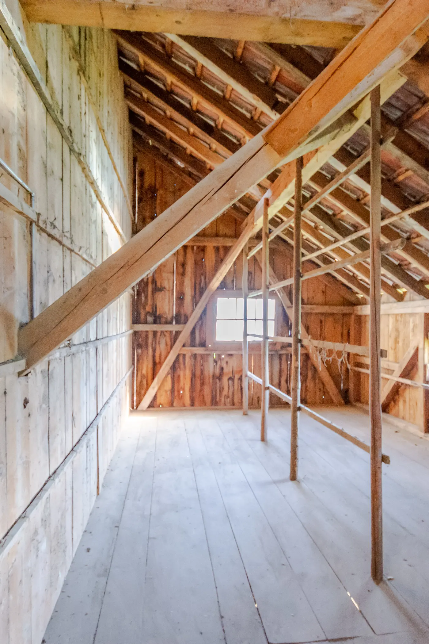 d1621456-db69-4d38-a1a1-76516aaf7c5a_original.jpg?c=927701fc860a44639fc226d56f55e7be