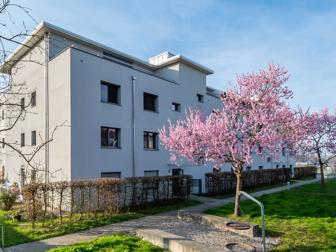 d4cfb975-2303-441e-9bcf-0b79bf6ac347_original.jpg?c=ea9755453f7b49df83a0d9663a7bb6f0