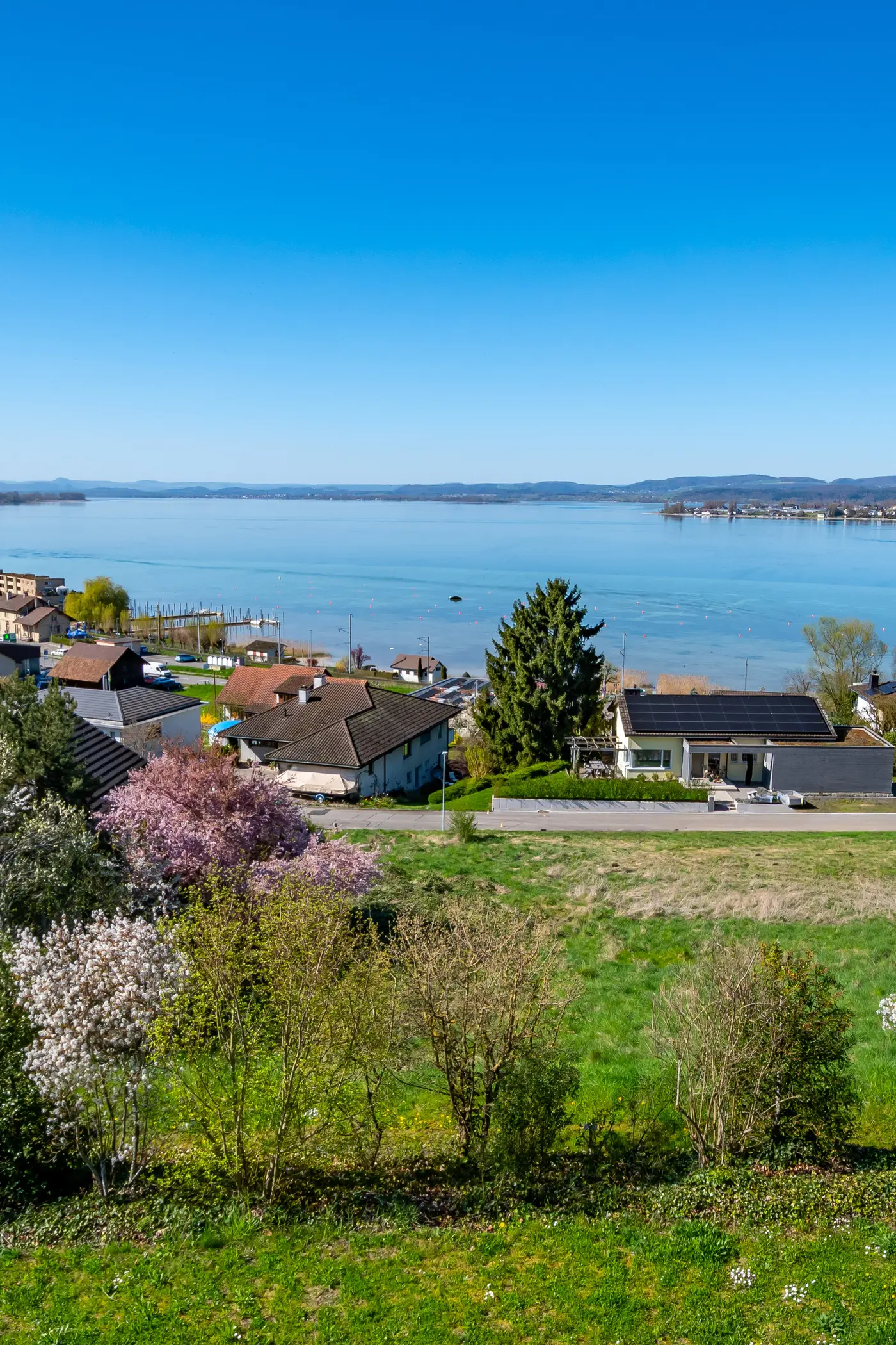 d55a8ef3-972f-479f-9647-39237ddd38ad_original.jpg?c=b92f0191b7fa452eb869be1218ed104f