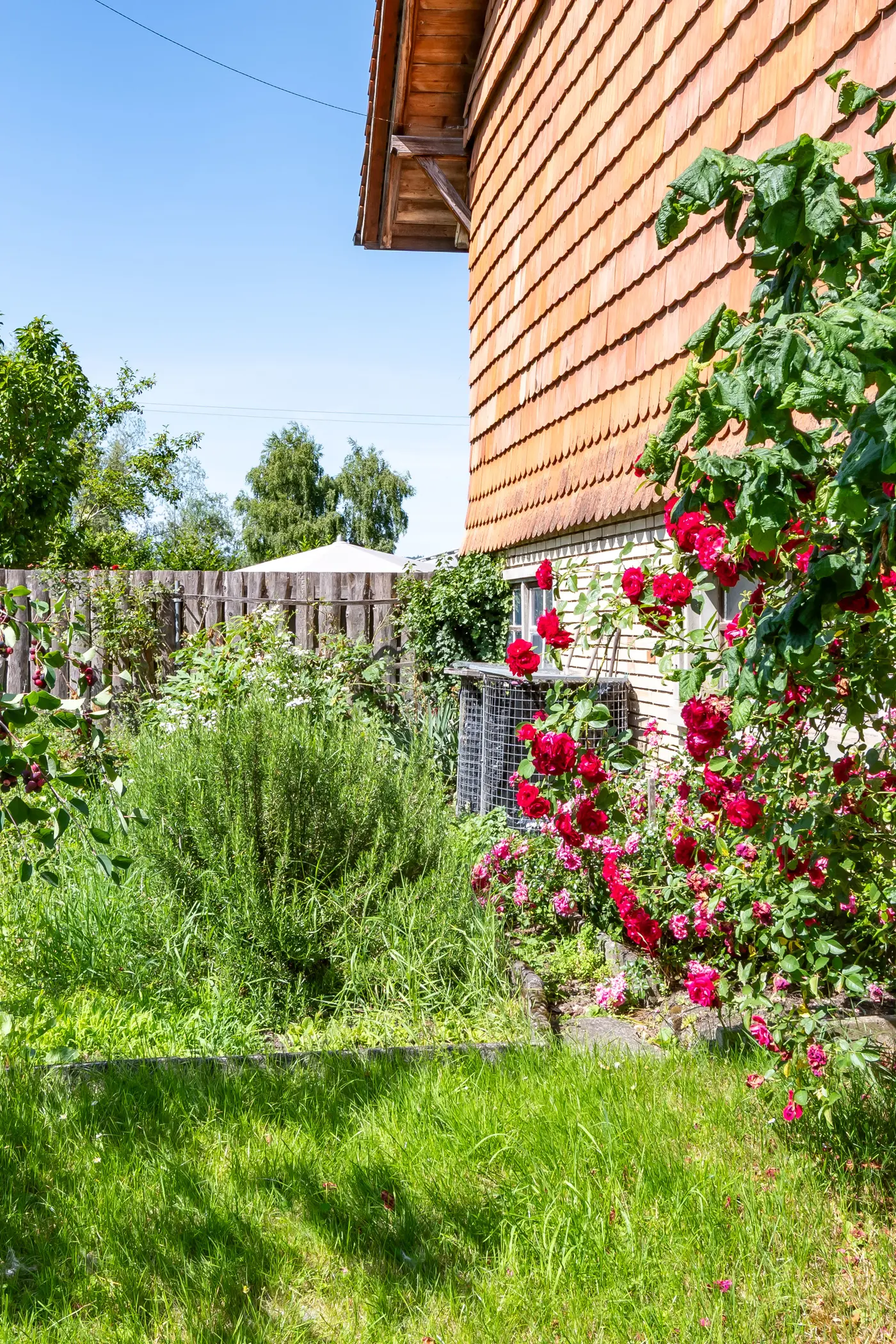 d57313e4-55f2-43ee-bb6f-30238cf694eb_original.jpg?c=fc68775e265f4c9293d39d16a42b0ac1