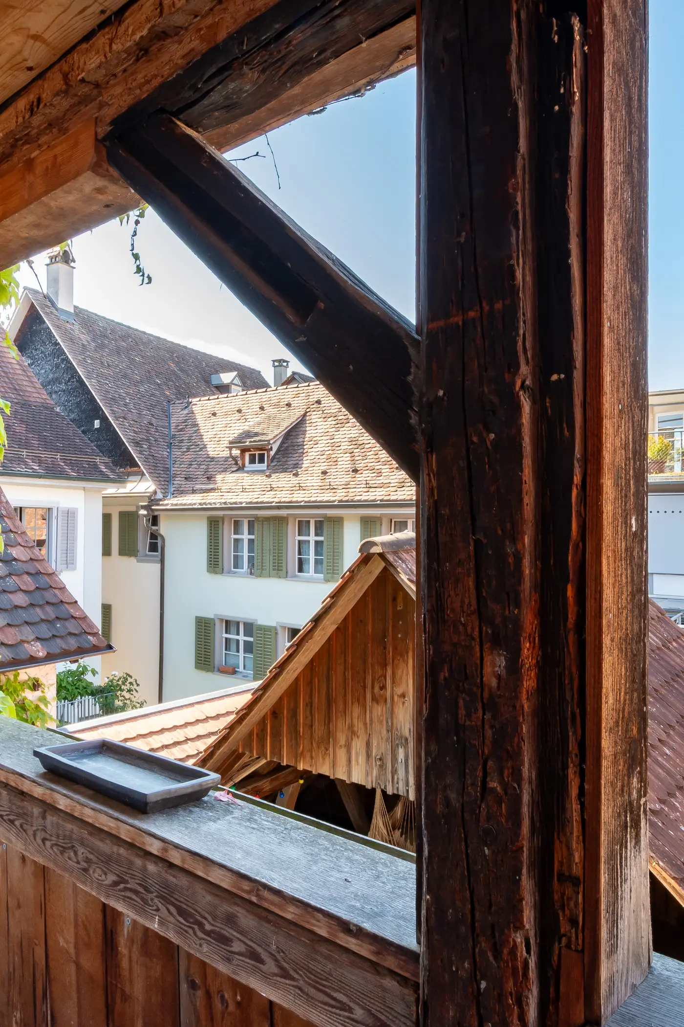 d948d469-0934-4a45-b3ee-9d05d5c5bb0e_original.jpg?c=1e6571a6bb6d4464a68c8461714947a0