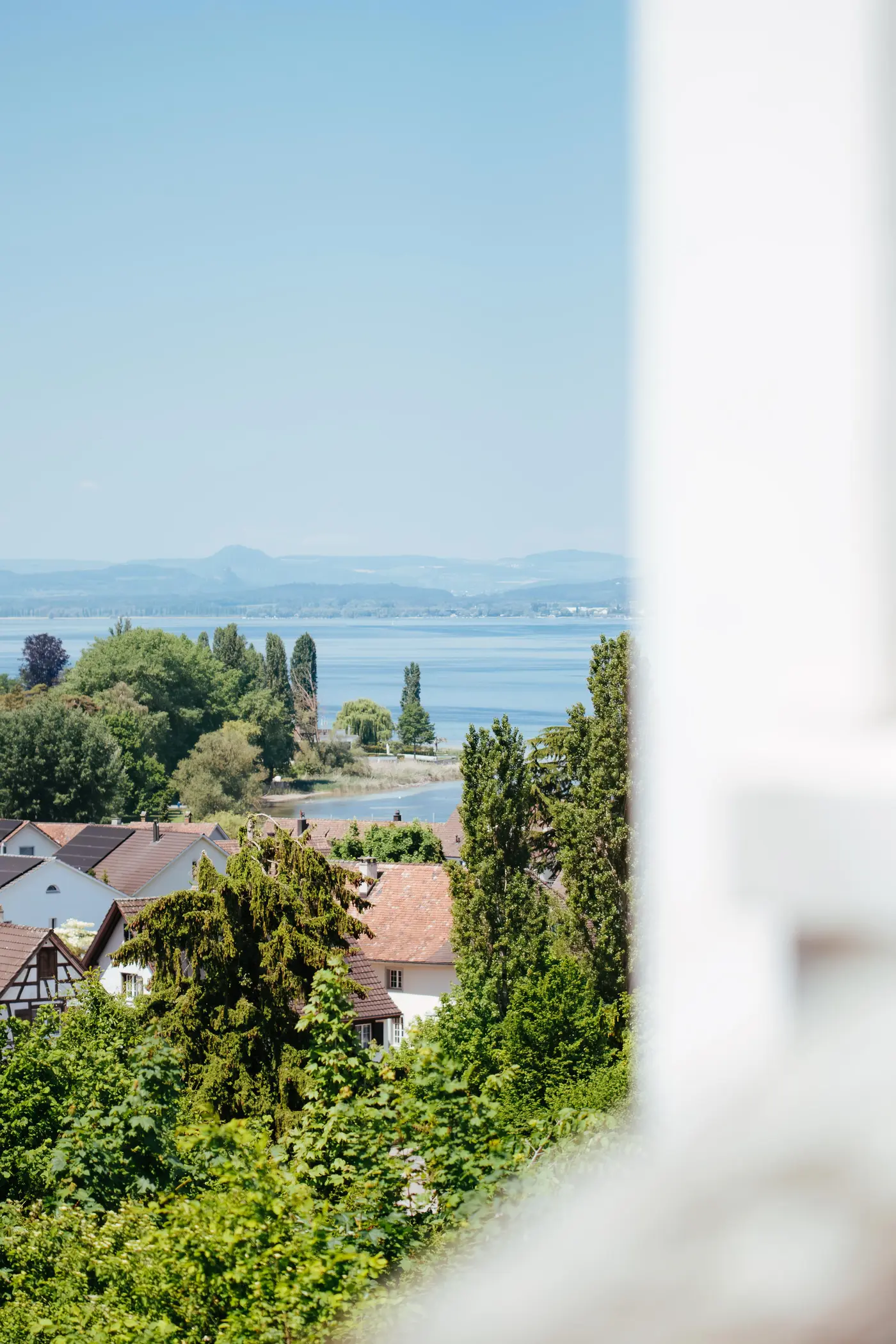 d9f40a6b-697e-48fe-a8aa-c29a9cdb1b06_original.jpg?c=8b92521bd41d4dd285304b857a2547c7