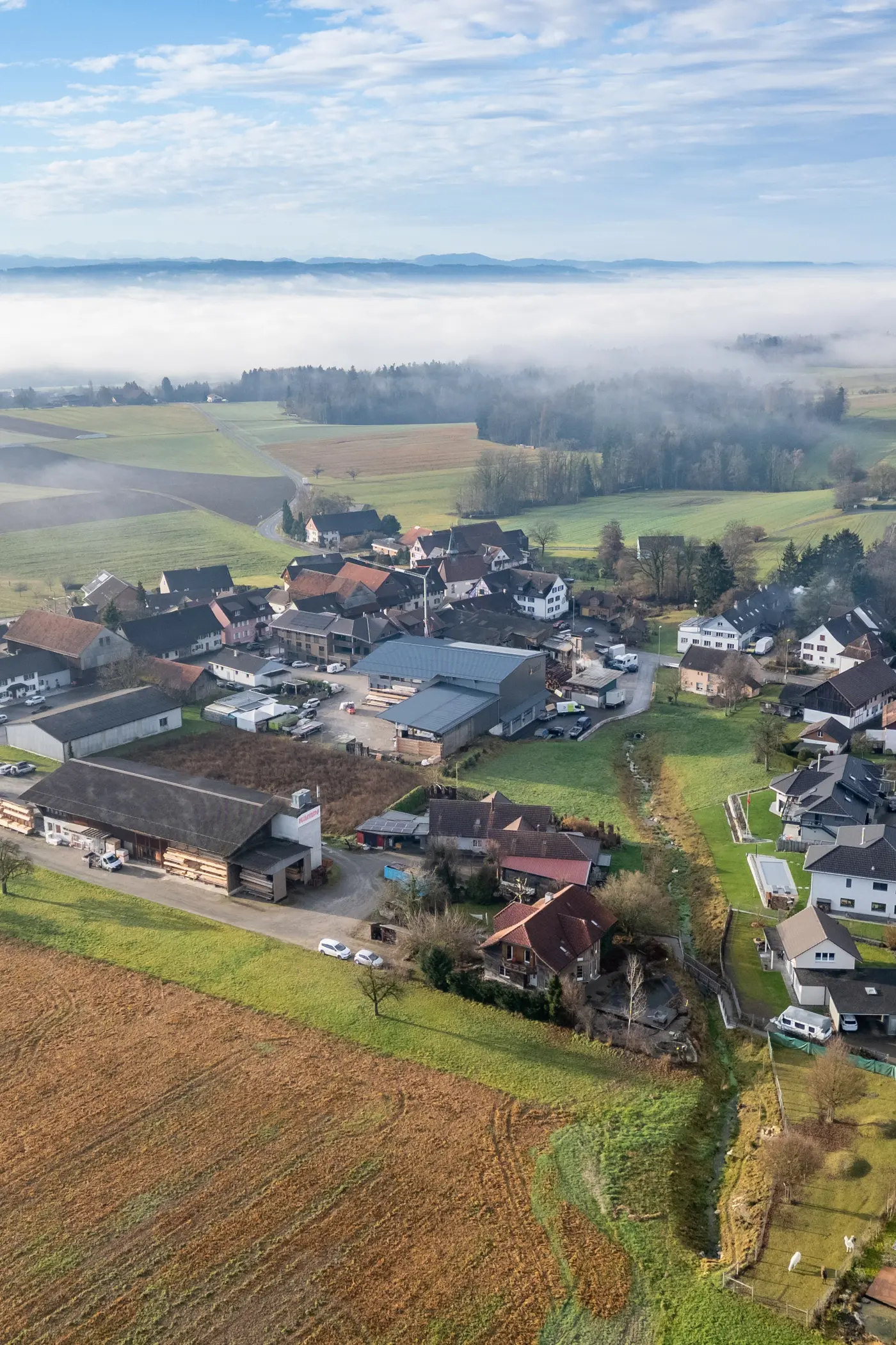 ebc552da-b7b2-473a-a8cd-1d7748066d34_original.jpg?c=5151e42220c446c48d4e4188934989c9