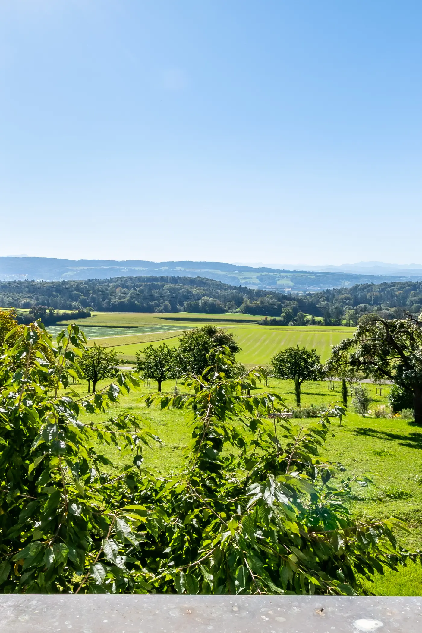 f1f57f2f-88b2-49a9-b735-054829e33222_original.jpg?c=7e421f47690c4552a0bc5bd6ed6a148c