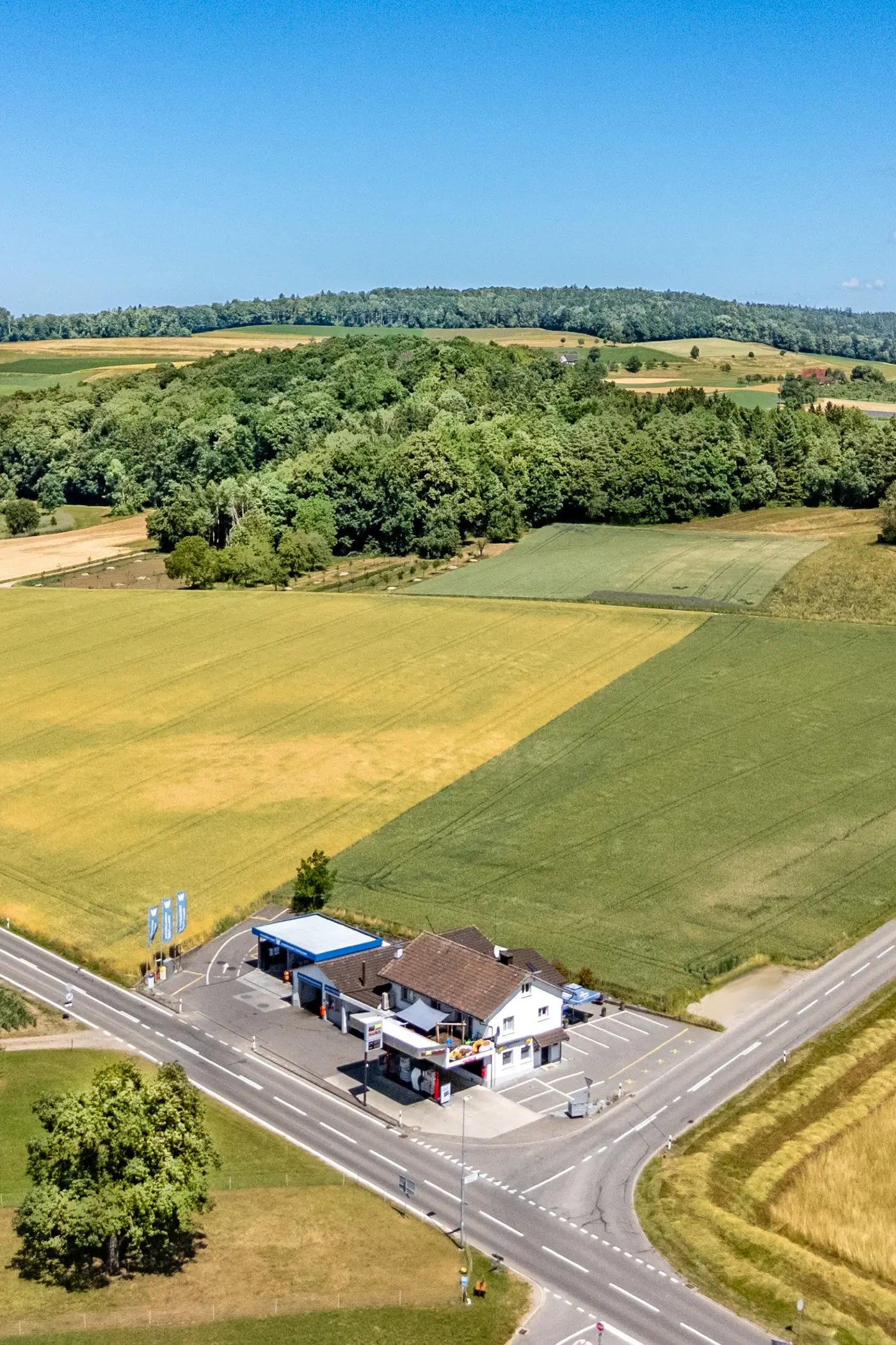 f2a9a03b-4ff1-44e9-bc82-13308f8f2dc4_original.jpg?c=e520bc85c84e4fbbbe84313c10a05eb5