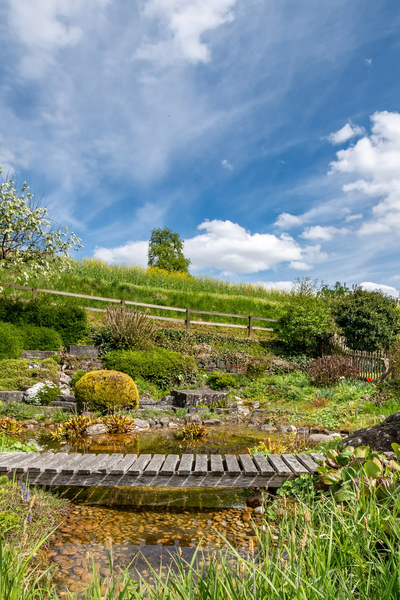 f369e0d8-3aa3-4190-8fb8-3ec9eae04abb_original.jpg?c=72b2c90706ad4ec7b3244356cccdd556