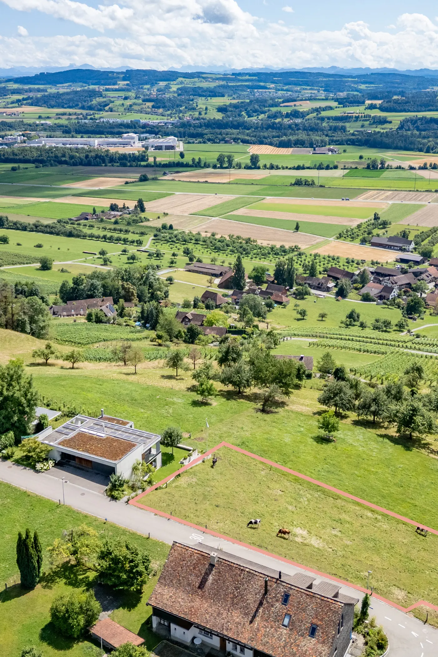 f3e7bbaf-0cfc-4bf2-86cb-c061c996bdf6_original.jpg?c=b7edd367d3a6444a9a880ce0c6e0883d