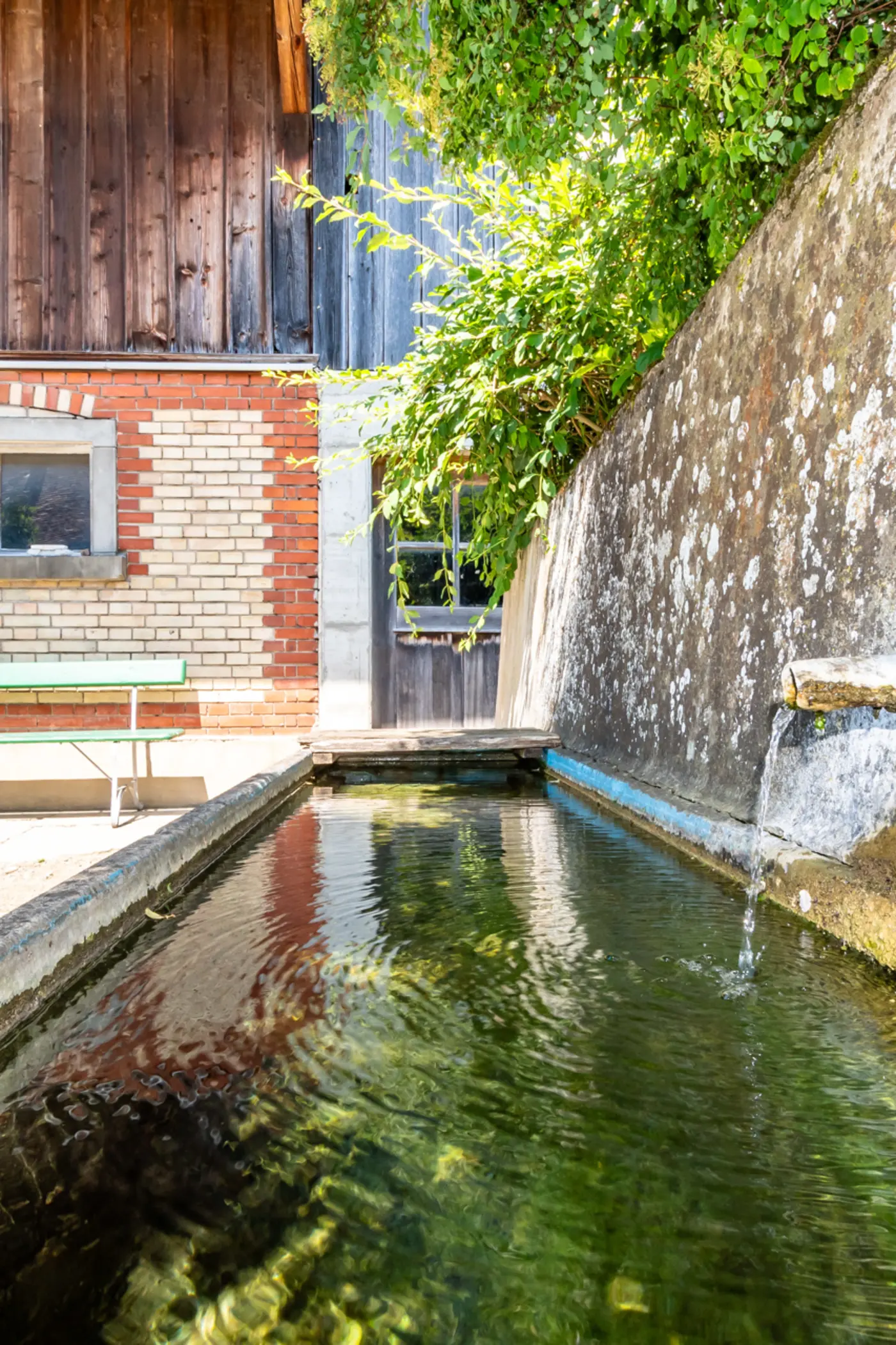 f62582f4-ce11-4ee7-8bcb-021727f3b55e_original.jpg?c=6ce2aac264b7428a85f9832acb4e5c0d