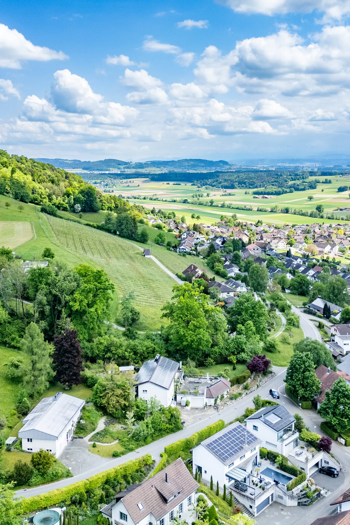 f779bd6f-5a30-465f-a139-33a71edf0ef3_original.jpg?c=1a0d51919baa4c1bb0194613787b9538