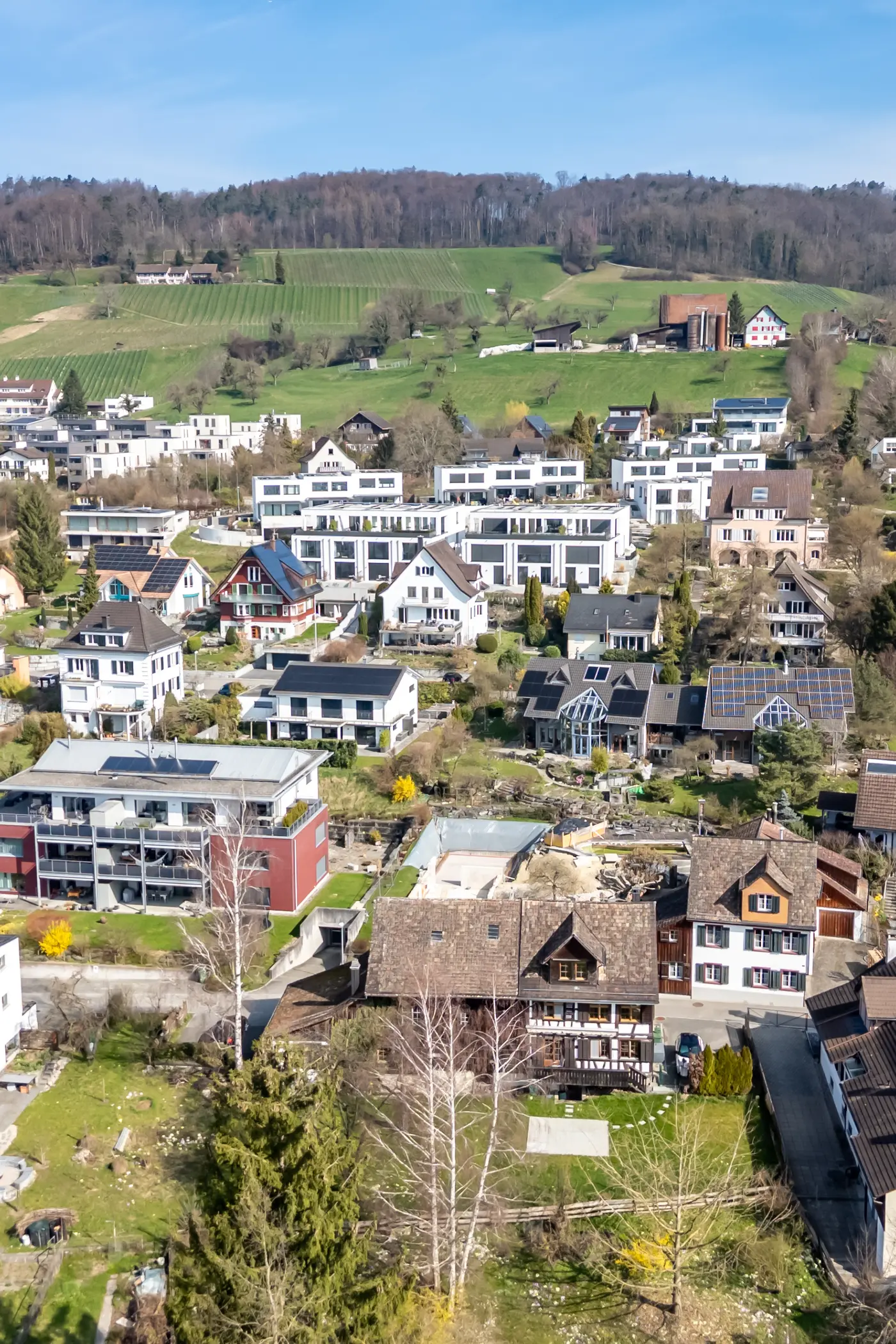 f9db9f1d-7046-470f-9cce-1754898ae0fc_original.jpg?c=93482e3524d049f7804e9c0b0b09defb