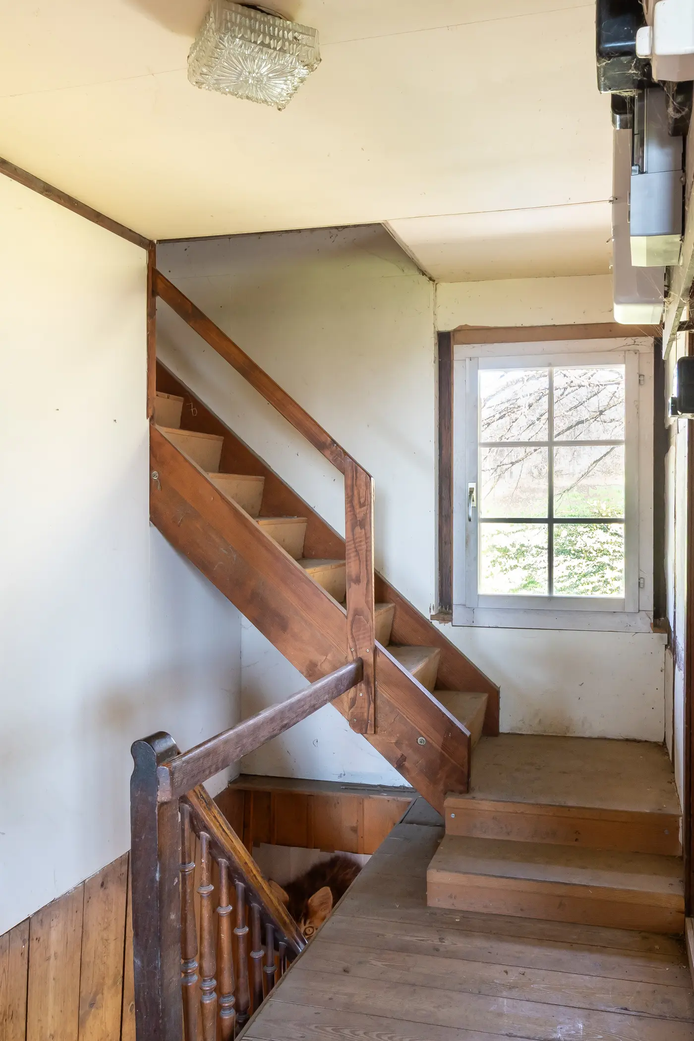 fa61ddd6-8761-497a-80c7-1a06fc0ab007_original.jpg?c=d54f768a76b74b0a953d0b1f81f13016