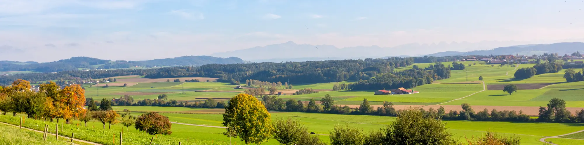 128-grundstueck-kaufen-fleischmann-immobilien.jpg?c=871c9b0a8bf74369b74a1eb88be498ce