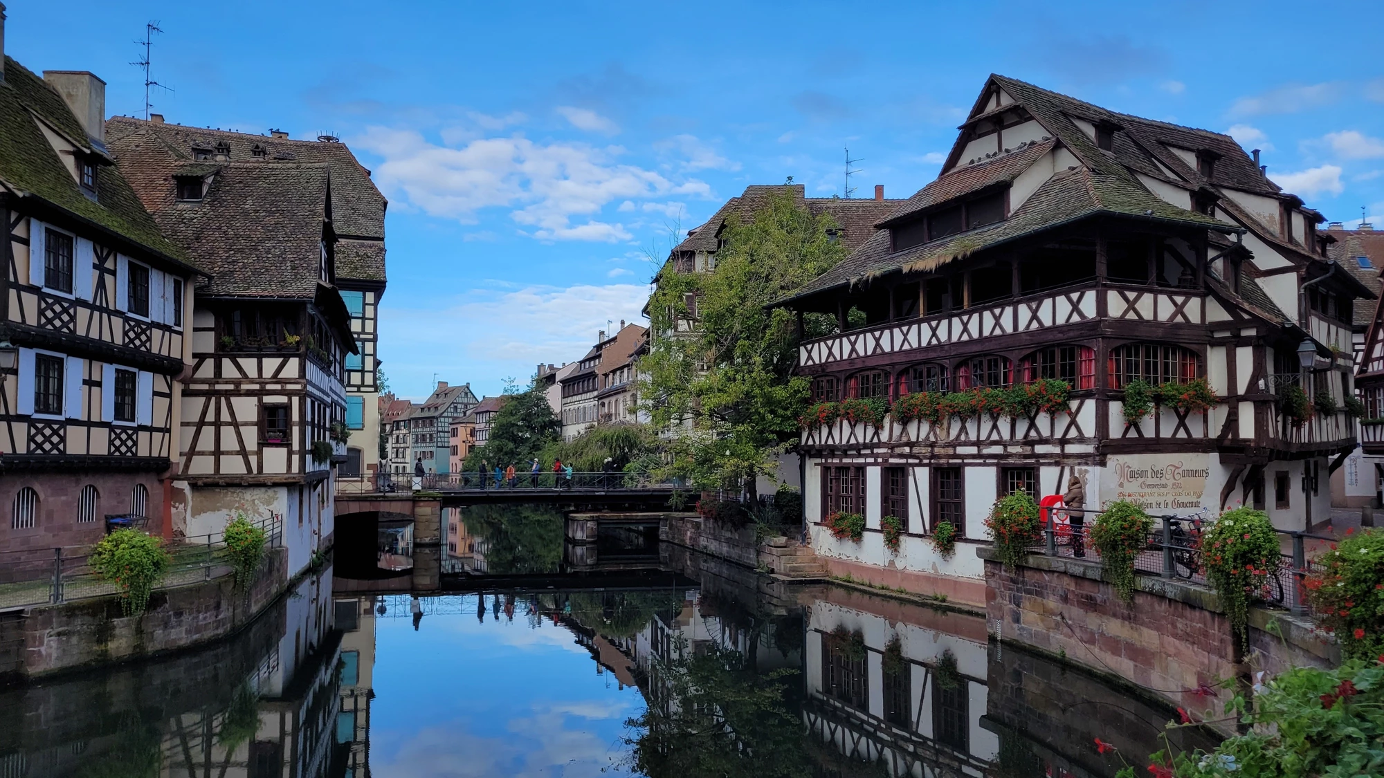 fleischmann-immobilien-strasbourg-2024-6.jpg?c=552812e7100b4d58b615edb92635cd88